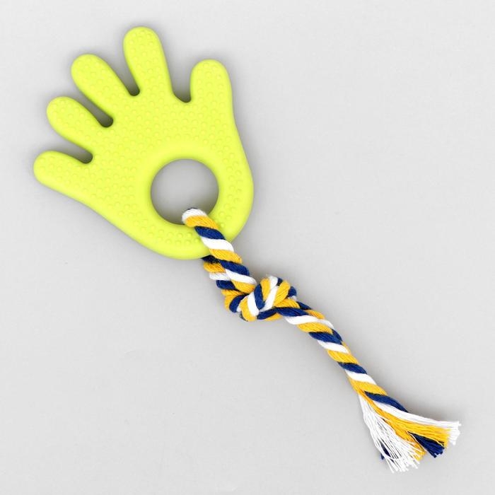 Игрушка жевательная с канатом для собак Игрушка жевательная с канатом для собак "Ладошка", 10 см, салатовая