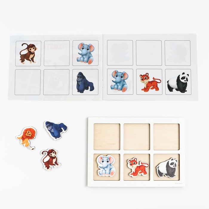 Тренажёр памяти «Джунгли» Тренажёр памяти «Джунгли»