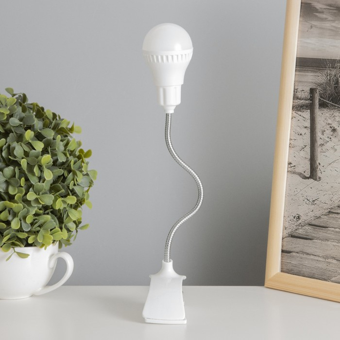 Лампа на прищепке  Лампа на прищепке "Свет" белый 13LED 1,5W провод USB 4x9x31,5 см RISALUX