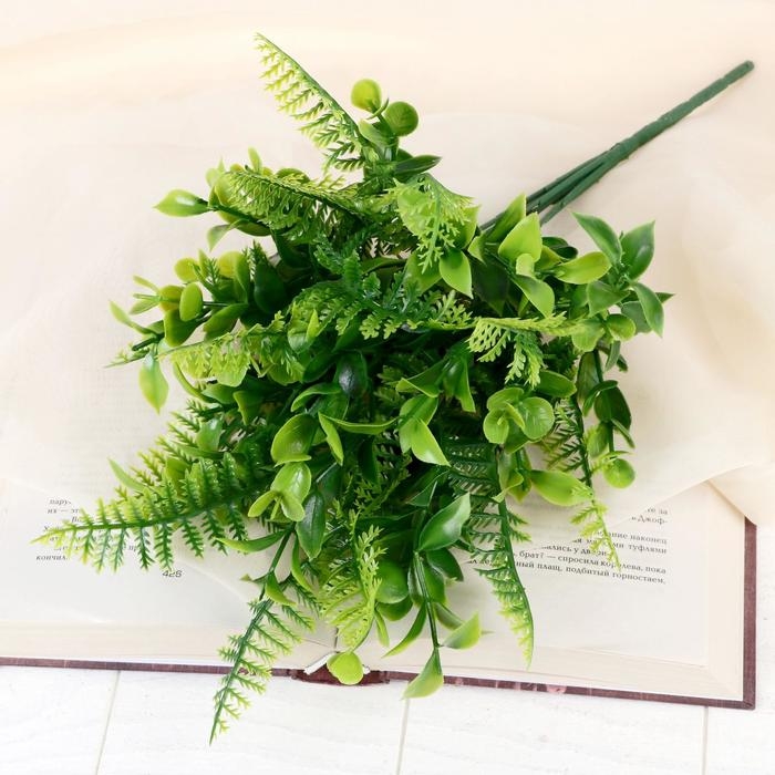 Букет Букет "Папоротник и круглолист" 28 см