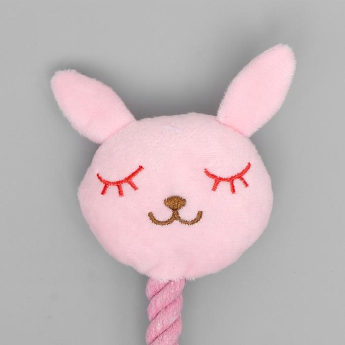 Игрушка мягкая для собак  Игрушка мягкая для собак "Зайка с канатом", с пищалкой, 18 см, розовая