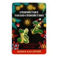 Значки новогодние «Новый год: две змейки», набор, 2 шт