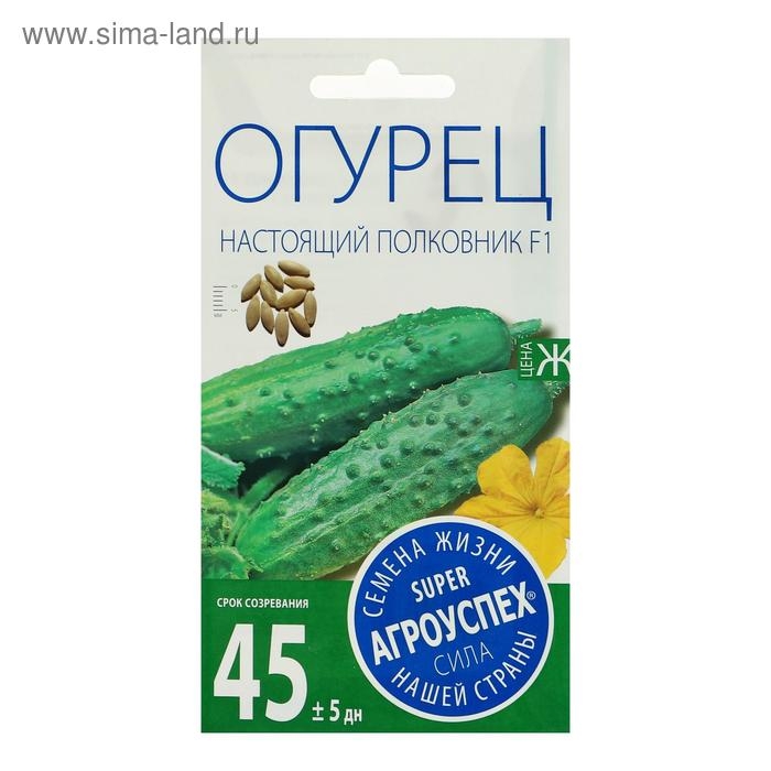 Семена Огурец Настоящий полковник F1, ранний, партенокарпический, 8  шт Семена Огурец Настоящий полковник F1, ранний, партенокарпический, 8  шт