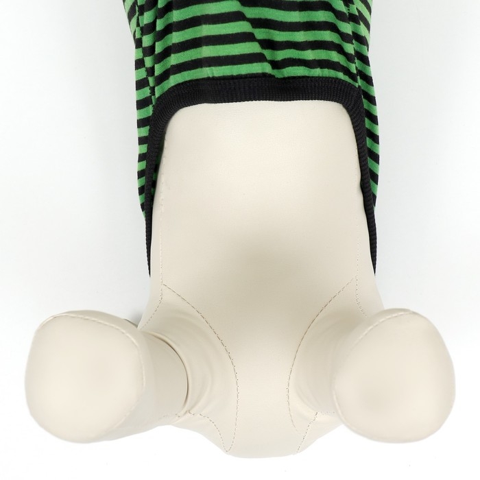 Майка для животных, XS  (ДС 20, ог 32, ош 19 см), зелёная Майка для животных, XS  (ДС 20, ог 32, ош 19 см), зелёная