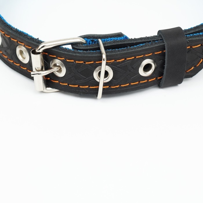 Ошейник кожаный усиленный капроном с полукольцом, 55 х 2,5 см, ОШ 27-53 см, чёрный Ошейник кожаный усиленный капроном с полукольцом, 55 х 2,5 см, ОШ 27-53 см, чёрный