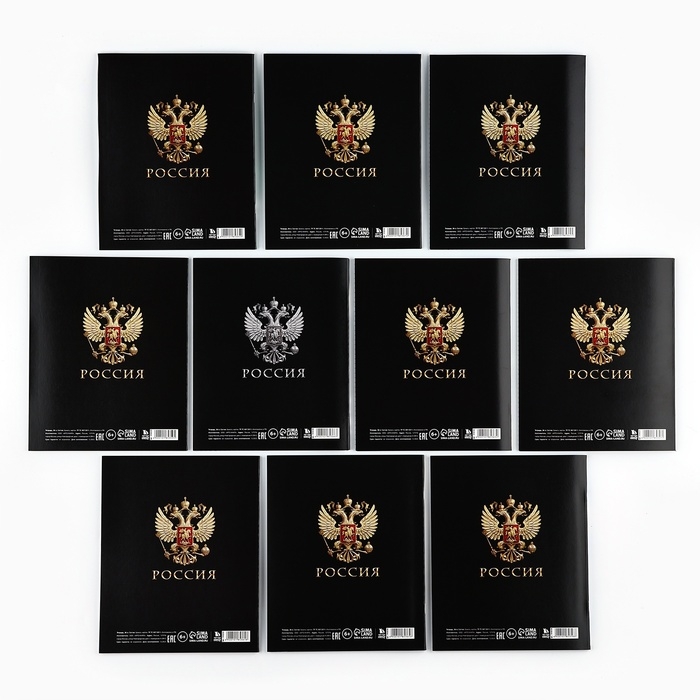 Набор тетрадей 36 листов, 10 предметов, внутренний блок №1 &laquo;1 сентября: Россия&raquo;