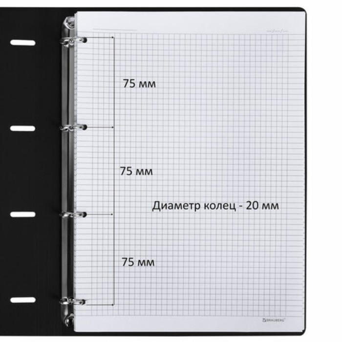 Тетрадь на кольцах А4 120л кл BRAUBERG VISTA,  Тетрадь на кольцах А4 120л кл BRAUBERG VISTA, "Гранаты",обл иск кож, бл 70 г/м2