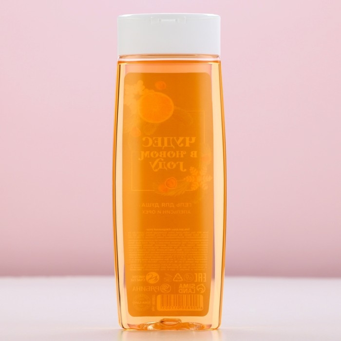 Гель для душа «Чудес в Новом Году!», 250 мл, аромат апельсина и орехов, ЧИСТОЕ СЧАСТЬЕ Гель для душа «Чудес в Новом Году!», 250 мл, аромат апельсина и орехов, ЧИСТОЕ СЧАСТЬЕ