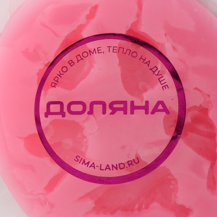 Молд Доляна «Пять птиц», силикон, 6×5,5×1 см, цвет розовый Молд Доляна «Пять птиц», силикон, 6×5,5×1 см, цвет розовый