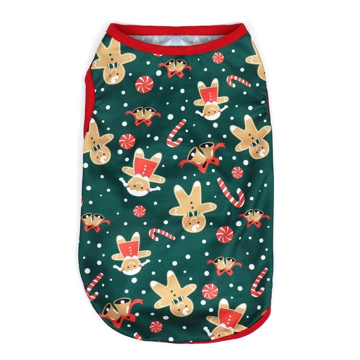 Толстовка  Толстовка "Пряня", размер XS (ДС 20, ОШ 20, ОГ 30 см), зелёная