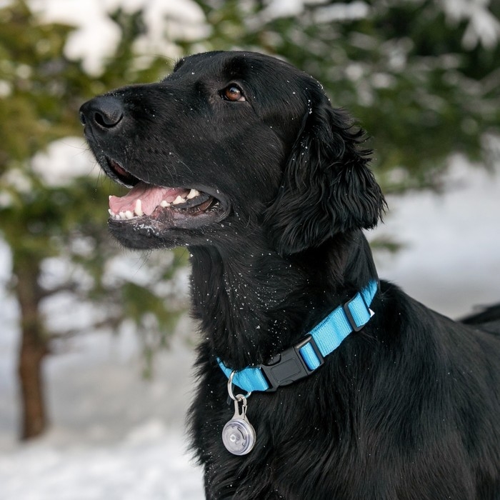 Маячок Сфера 3 режима свечения прозрачный Маячок Сфера 3 режима свечения прозрачный
