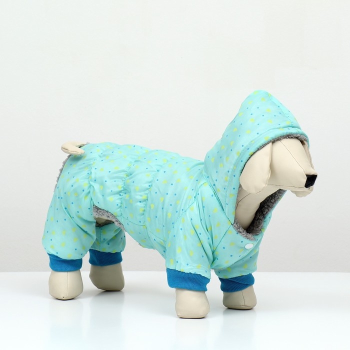 Комбинезон  Комбинезон "нежный путь" на меховом подкладе, размер XL (ДС 40, ОШ 40, ОГ 50 см), голубой