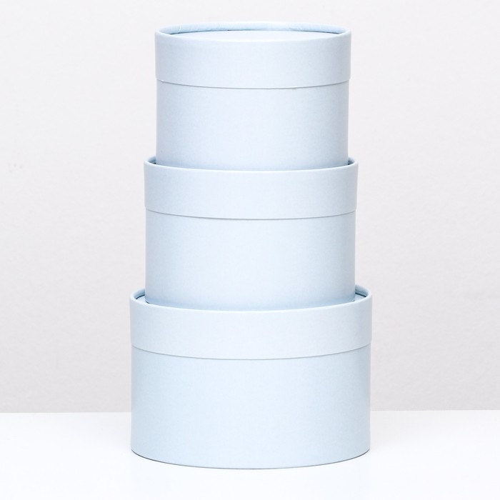 Набор шляпных коробок 3 в 1, голубой, 16 х 10,14 х 9,13 х 8,5 см Набор шляпных коробок 3 в 1, голубой, 16 х 10,14 х 9,13 х 8,5 см