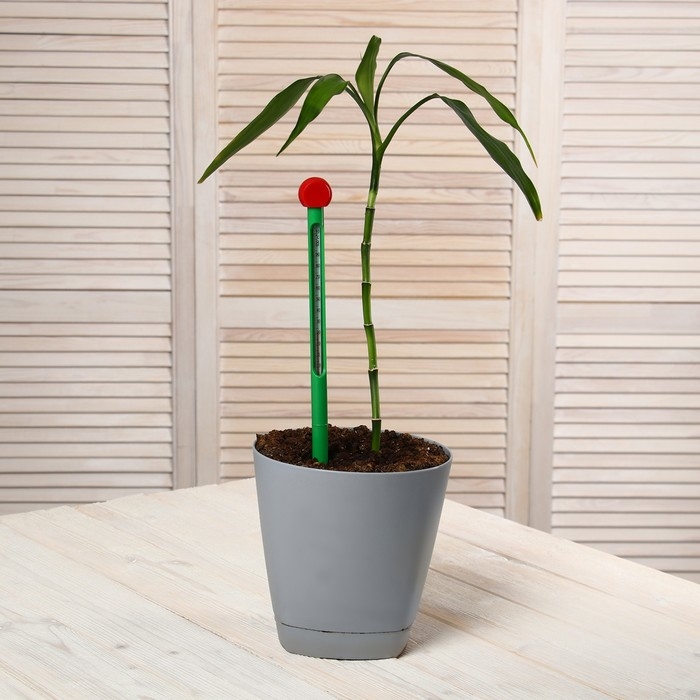 Термометр для измерения температуры почвы и воды, Greengo Термометр для измерения температуры почвы и воды, Greengo