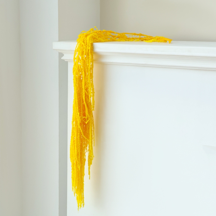 Сухие цветы амаранта, 100 г, размер листа: от 50 до 60 см, цвет жёлтый Сухие цветы амаранта, 100 г, размер листа: от 50 до 60 см, цвет жёлтый