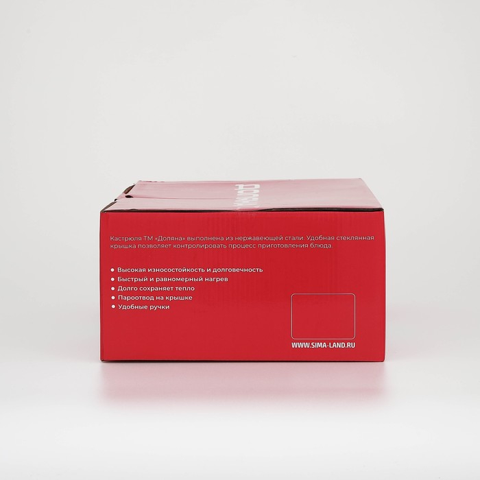 Кастрюля из нержавеющей стали Доляна «Гретте», 4,2 л, d=22 см, с крышкой, капсульное дно, индукция Кастрюля из нержавеющей стали Доляна «Гретте», 4,2 л, d=22 см, с крышкой, капсульное дно, индукция