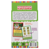 Развивающие карточки «Животные красной книги», 32 карточки