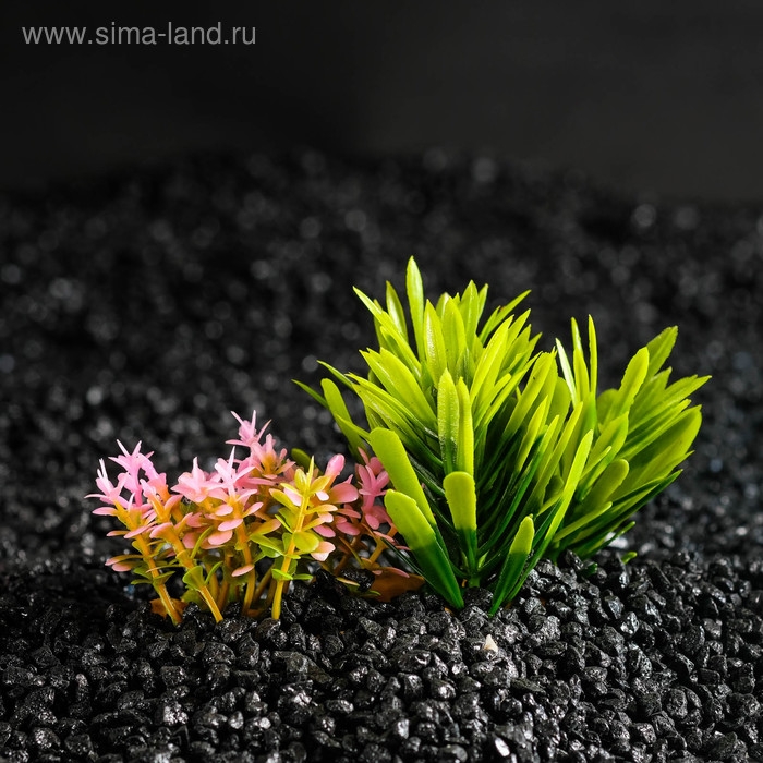 Растение искусственное аквариумное на подставке под камень, 14 х 11 х 7 см