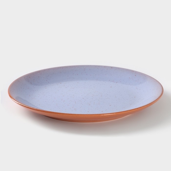 Тарелка ColorLife, d=24 см, h=2,5 см, цвет сиреневый Тарелка ColorLife, d=24 см, h=2,5 см, цвет сиреневый