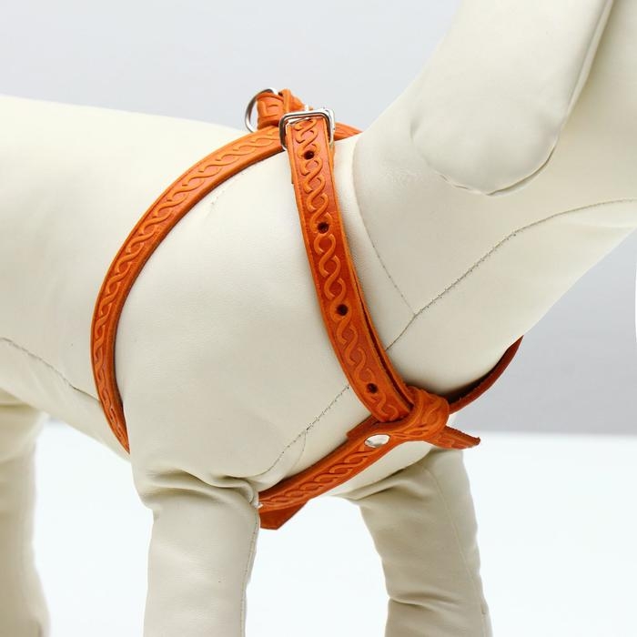 Шлейка кожаная для кошек и маленьких собак,ОШ19-30 см,ОГ 25-37 см,1.2 см, микс видов, цветов Шлейка кожаная для кошек и маленьких собак,ОШ19-30 см,ОГ 25-37 см,1.2 см, микс видов, цветов