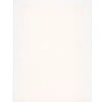 Кеевая ловушка от грызунов домик, SAFEX, 1 шт