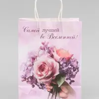 Пакет подарочный крафтовый &laquo;Лучшей во вселенной&raquo;, 25&times;22&times;11 см