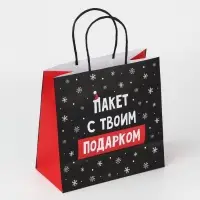 Пакет подарочный новогодний &laquo;Твой подарок&raquo;, 22&times;22&times;11 см
