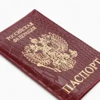 Обложка для паспорта, натуральная кожа, тиснение фольгой, крокодил, бордовая