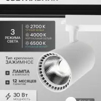 Трековый светильник Luazon Lighting TSL-016, 30 Вт, 2400 Лм, 2700-6500К, управление с пульта, белый, 3 режима свечения