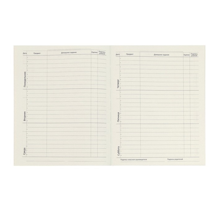 Дневник универсальный для 1-11 класса Minty soft touch, мягкая обложка, искусственная кожа, ляссе, 80 г/м2