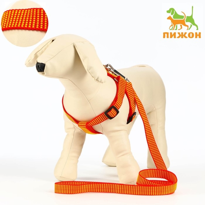 Комплект амуниции рельефный, 2 см, поводок 120 см,красно-жёлтый