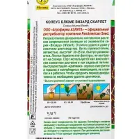 Набор семян цветов Колеус, 5 пакетов
