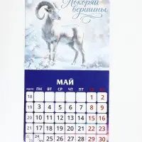 Календарь 2027 перекидной на скрепке 6 листов 29&times;29, &laquo;Козел&raquo;