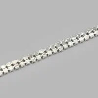 Цепь со стразами, 2 ряда, металл, стекло, 4 мм, 4.5&plusmn;0.5 м, цвет серебряный