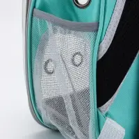 Рюкзак для переноски животных прозрачный, 31 х 28 х 42 см, бирюзовый Рюкзак для переноски животных прозрачный, 31 х 28 х 42 см, бирюзовый