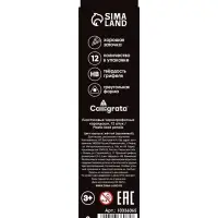 Набор карандашей чернографитных 12 штук, Calligrata Classic, заточенные, пластик, трехгранные, оранжевые