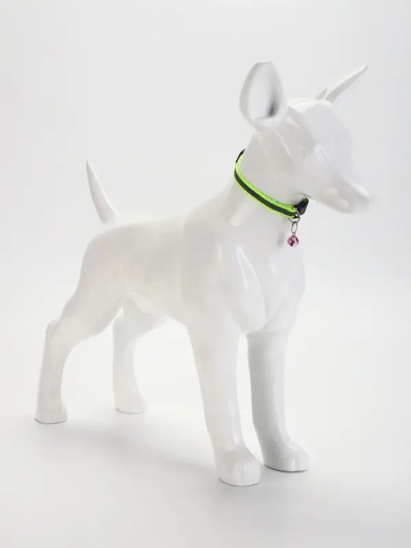 Ошейник Ошейник "Спорт" со светоотражающей полосой, 31 х 1 см, зелёный