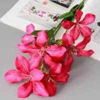 Цветы искусственные "Баухиния пёстрая" d-13 см 71 см, малиновый