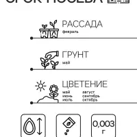 Семена цветов Пентас ланцетовидный "Микс F1", 0,003 г. в амп.