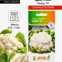 Семена Капуста цветная &laquo;Мовир 74&raquo; 0.3 г, &laquo;Агросс&raquo;