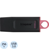 Флеш-память Kingston DataTraveler Exodia, USB 3.2 G1, роз/чер, DTX/256GB