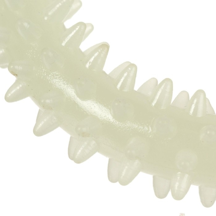 Игрушка для собак, светящаяся в темноте, Игрушка для собак, светящаяся в темноте, "Кольцо с шипами", 9 см