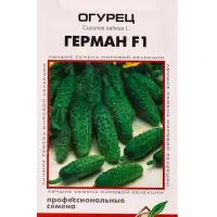 Набор Огурец Герман F1, 6 семян (349927273) ОЗ