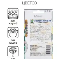 Семена цветов Аквилегия гибридная Желтая звезда, 0,05гр