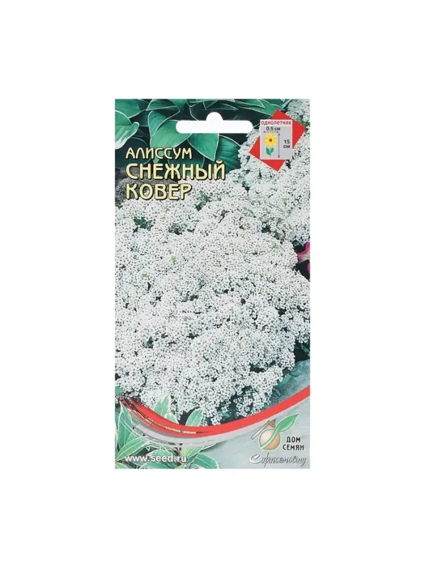 Набор семян Алиссум Набор семян Алиссум "Снежный ковер", 5 шт.