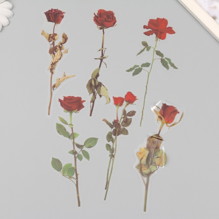 Наклейки пластик Наклейки пластик "Цветы и цитаты. Красные розы" набор 12 шт 8,5х21,5х0,2 см