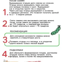 Семена Огурец "Кустовой", 0,5 г