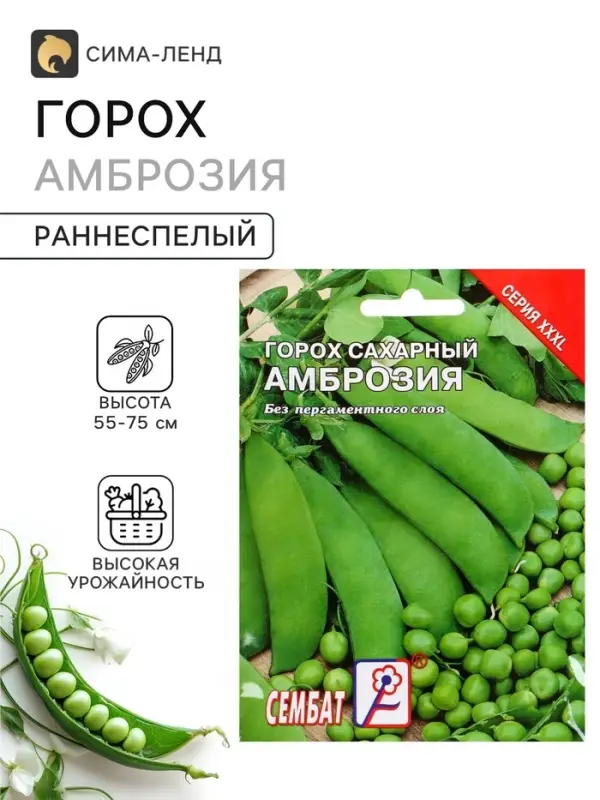 Семена Горох &laquo;Амброзия&raquo;, XXXL, &laquo;Сембат&raquo;, 25 г