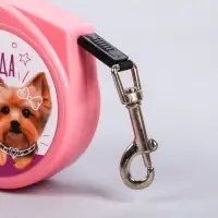 Рулетка «Порода видна сразу» 3 м Рулетка «Порода видна сразу» 3 м