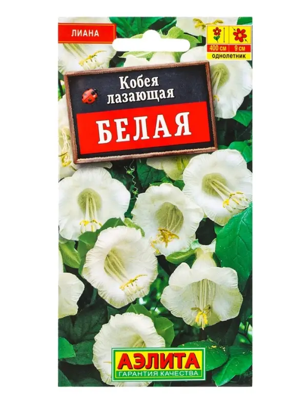 Семена цветов Кобея белая , Ц/П,0,45 г Семена цветов Кобея белая , Ц/П,0,45 г